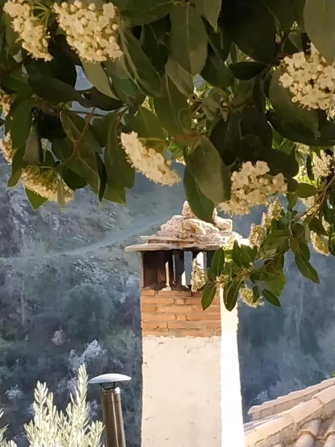 Cortijo La Solana Guest House Guejar Sierra Spain