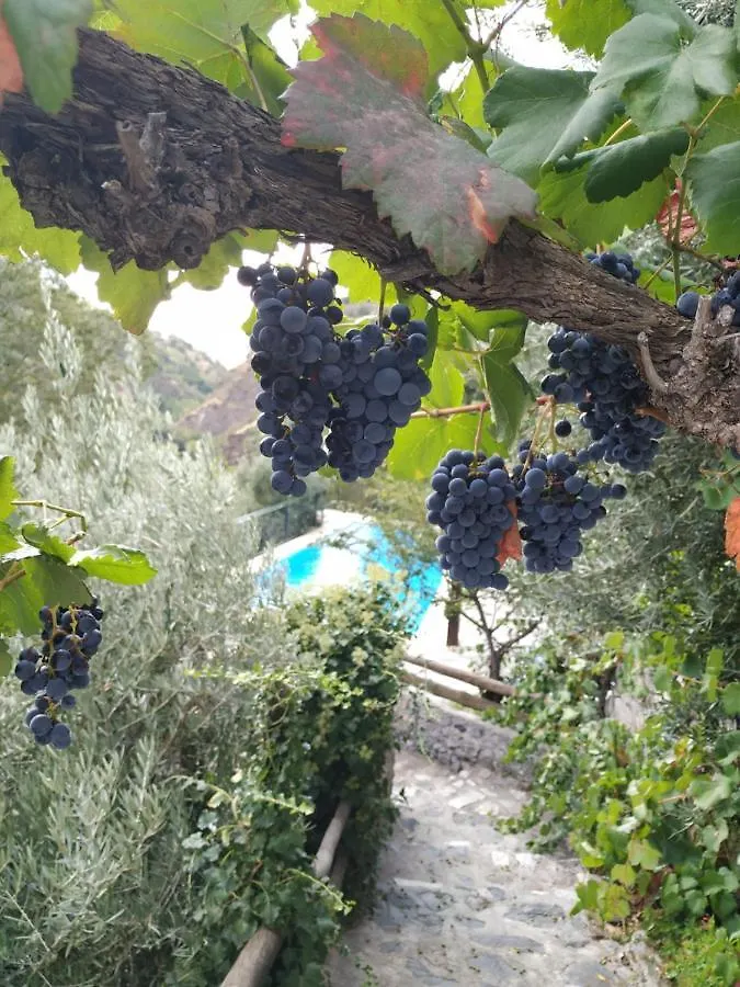 Cortijo La Solana Guest House Guejar Sierra Spain