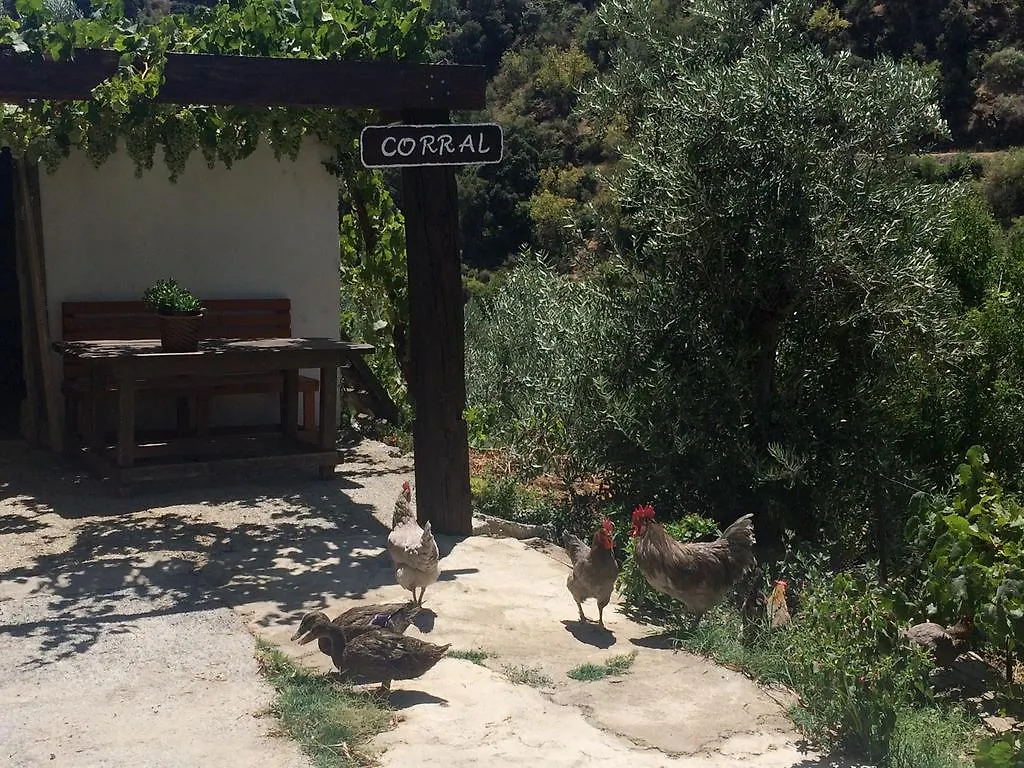 Cortijo La Solana Guest House Guejar Sierra